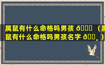 属鼠有什么命格吗男孩 🐕 （属鼠有什么命格吗男孩名字 🌸 ）